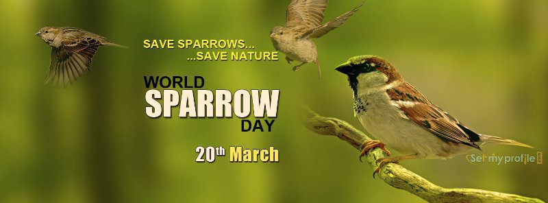 World Sparrow Day - National and International Days 2020